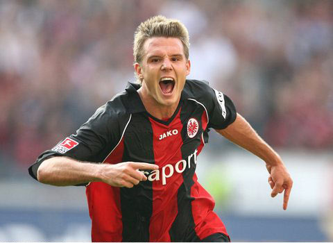 不俗的韧性 不俗的韧性